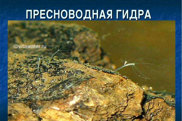 Кракен как зайти через тор браузер