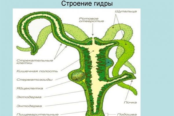 Кракен сайт упал